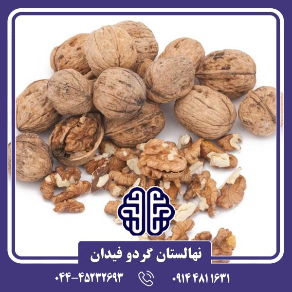 نهال گردو فرانکت