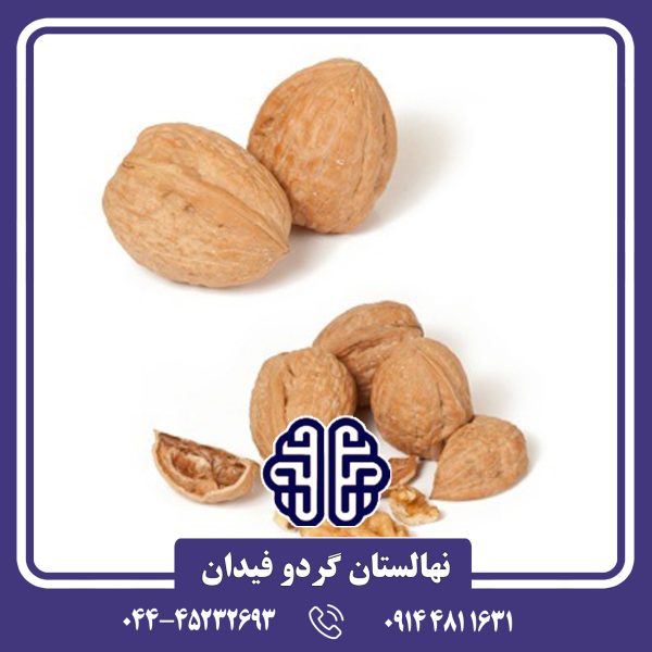 نهال گردو هارتلی