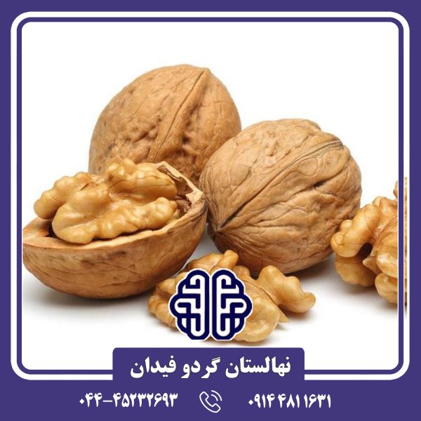 نهال گردو هارتلی