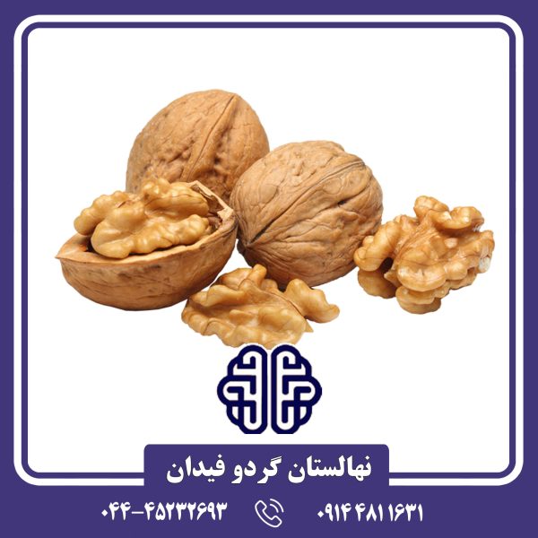نهال گردو چندلر