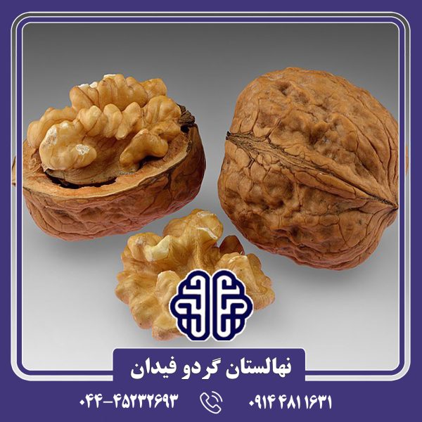 نهال گردو دماوند