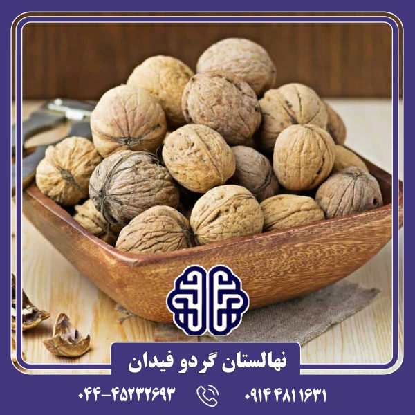 نهال گردو کاسپین